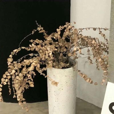 淇县FurryQQ群介绍